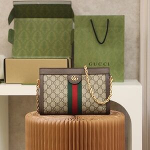 Gucci Beige and Brown Chain Shoulder Bag